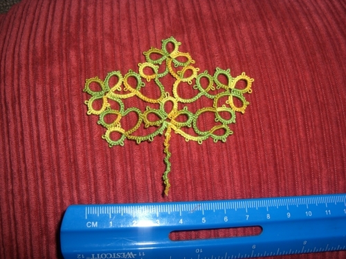CIMG0510.JPG